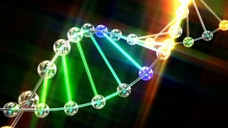 DNA双螺旋动画视频素材模板下载