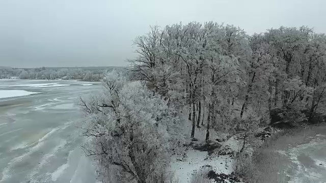 冬季冰湖和雪林的航拍