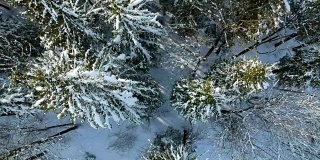鸟瞰图:冬季奥地利森林