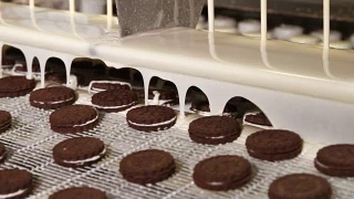 含有可可巧克力的饼干尝起来是棕色的视频素材模板下载
