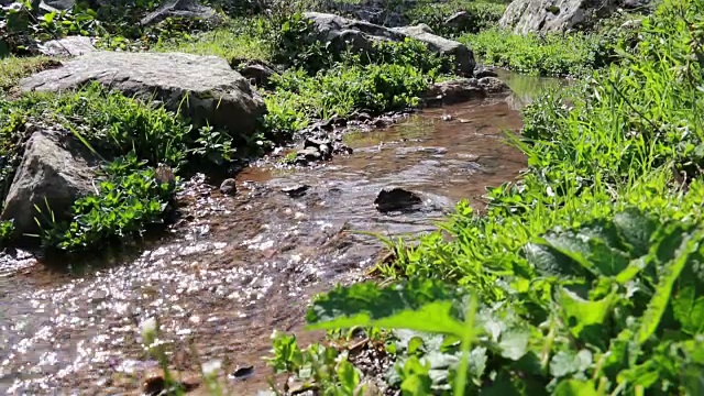 溪水顺流而下