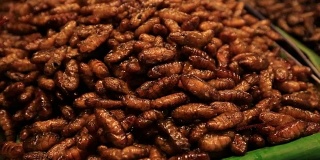 泰国街头小吃市场的油炸幼虫，特写
