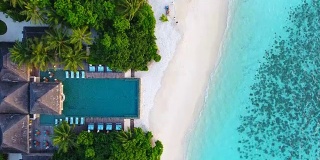 马尔代夫，蓝天，蓝绿色的海，白色的沙子和绿色的棕榈树。