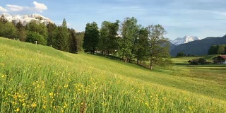 春天，高山和盛开的草地是田园诗般的高山风景