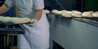 一个工人准备面包并把它们放在传送带上。
