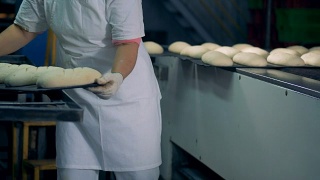 一个工人准备面包并把它们放在传送带上。视频素材模板下载