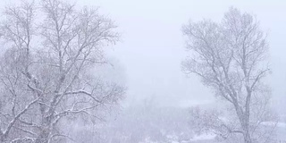 沿风景河飘雪