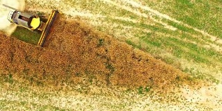 Aerial view of combine harvester working on field.