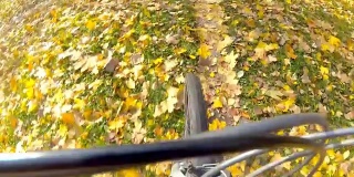 骑自行车的人骑在秋天的落叶上。