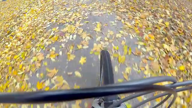 骑自行车的人骑在秋天的落叶上。