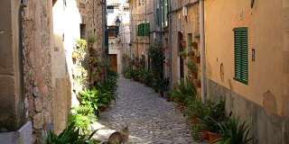 马略卡岛的小街道上有一只猫