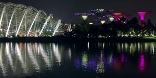 新加坡花园狂想曲中的灯光与音乐表演。动作要快得多。无缝循环