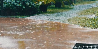 Rain位于热带国家。倾盆大雨下在街上