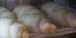 牛角面包在烤箱中烘烤和发酵的时间流逝视频。