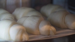 牛角面包在烤箱中烘烤和发酵的时间流逝视频。视频素材模板下载