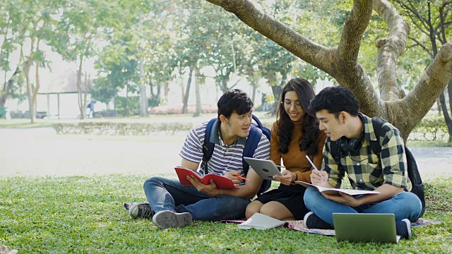 一群年轻的大学生坐在公园外面的草地上看书