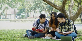 一群年轻的大学生坐在公园外面的草地上看书