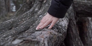 一位妇女慢慢地用手抚摸着树皮