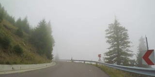 从汽车行驶在雾蒙蒙的松林中看到的蜿蜒的山路