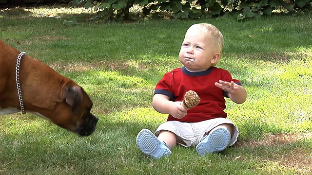 一个一岁的小男孩和狗分享冰淇淋