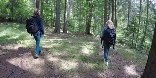 一群生态学家在山间徒步旅行，欣赏绿色的森林景观