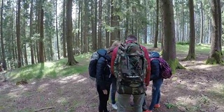 青少年朋友旅行者看地图计划通过森林徒步旅行和冒险的森林概念