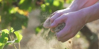 法国南部葡萄园的优质泥浆通过超级慢动作