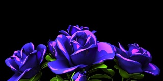 黑色文字空间上的蓝色玫瑰花束