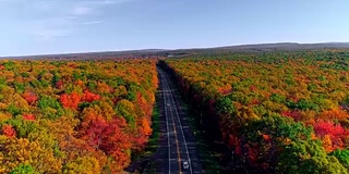 在阿巴拉契亚山，波科诺斯，宾夕法尼亚州的森林道路顶视图，秋天的树叶。空中无人机视频。