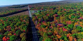 在阿巴拉契亚山，波科诺斯，宾夕法尼亚州的森林道路顶视图，秋天的树叶。空中无人机视频。