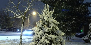 雪城公园在灯光下的灯笼在晚上。白雪覆盖的树木和长椅，美丽的冬夜公园的小径。冬天的风景