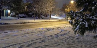 下雪时，在灯笼的灯光下，树枝被雪覆盖