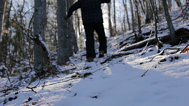 踏在山上的雪里。迷失在森林里