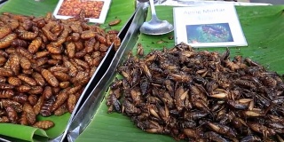 泰国街头小吃:烤香粉虫，虫子，油炸幼虫，泰国