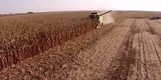 联合收割机在玉米田作业的航拍镜头。收获的玉米。