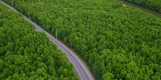 鸟瞰图的当地公路旅行与常青树在泰国