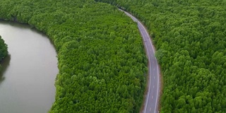 鸟瞰图的当地公路旅行与常青树在泰国