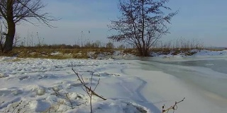 田野里的草被冻住了，雪把俄罗斯室外枯死的树都带走了，冬天室外的景色也定格了
