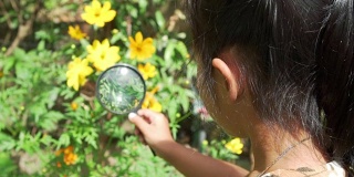 亚洲小女孩用放大镜看美丽的蝴蝶在花的领域。自我学习旅行的概念，春天的生活方式。