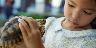 可爱的亚洲小孩抱着乌龟玩。她并不害怕把它拿在手里。自我学习的概念和热爱动物的生活方式。