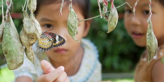 两个可爱的亚洲小女孩试图用好奇和有趣的慢镜头触摸彩色蝴蝶。