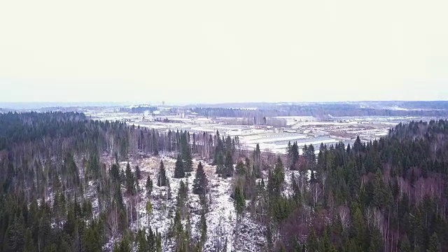 鸟瞰图被雪覆盖的冷杉林。阳光下成排的云杉。冬日阳光明媚的森林全景图。鸟瞰图。松树的树梢在雪白的雪地上投下了一个影子。从鸟瞰图到木材