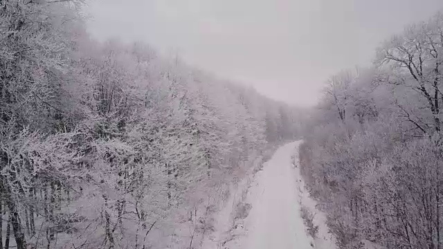 通往结霜森林的路