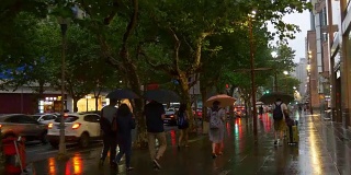 雨天晚上时间上海城市交通街道人行道全景4k中国