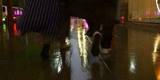 雨夜上海城市交通街道行走全景4k中国