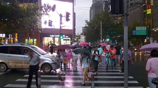雨夜上海城市交通街道人行横道全景4k中国视频素材模板下载