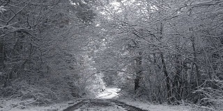 冬天下雪的乡间小路和树间小路。