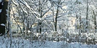 冬天的老院子里覆盖着雪