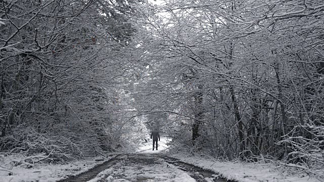 那个人在下雪的天气下走在树间的小路上。