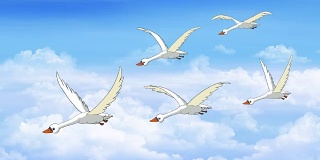 一群天鹅在天空中飞翔